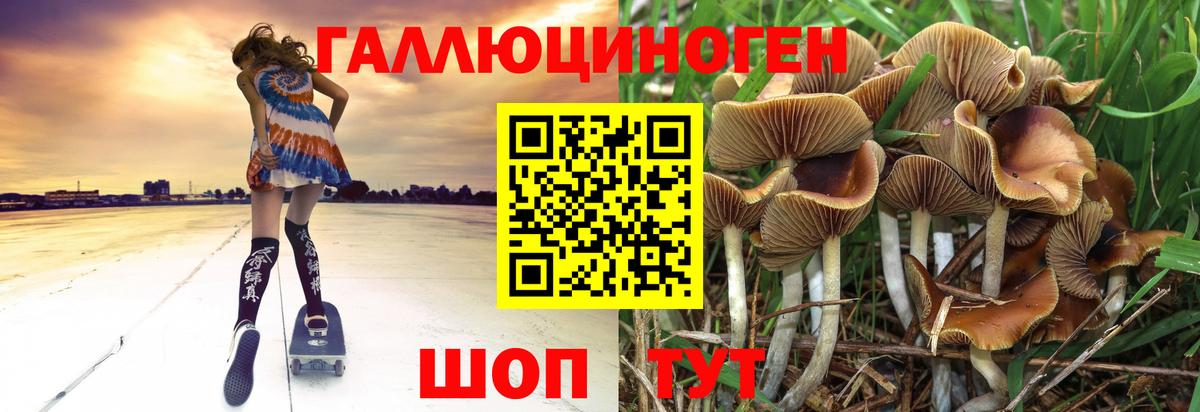 Псилоцибиновые грибы Psilocybe  Вход с VPN  Галлюциногенные грибы Magic Shrooms  Домодедово 
